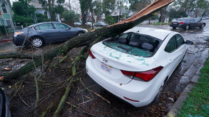 Routes to Avoid as Bay Area Begins to Clean up Storm Damage