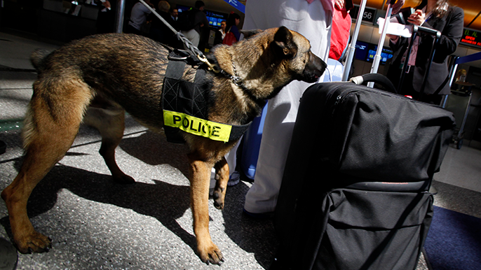 California Bill Aimed at Banning Police Dogs Due to Racial Bias Advances 