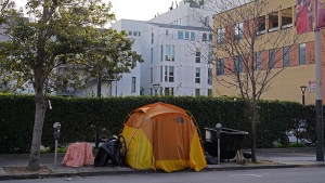 San Francisco Neighbors Install Sidewalk Planters in Landscaping Project That Blocks Homeless Encampments