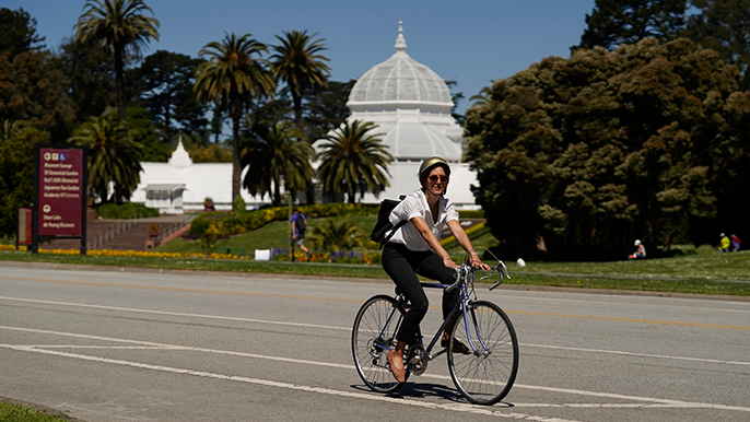 New Bike Lane in SF Neighborhood Causing Accidents, Loss of Parking