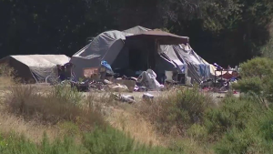 Valley Water Will Pay Homeless to Keep Their Encampments Clean