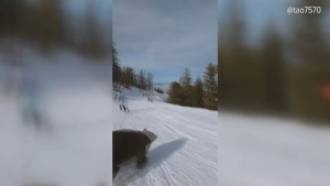 Lake Tahoe Skiers Have Close Call With Black Bear