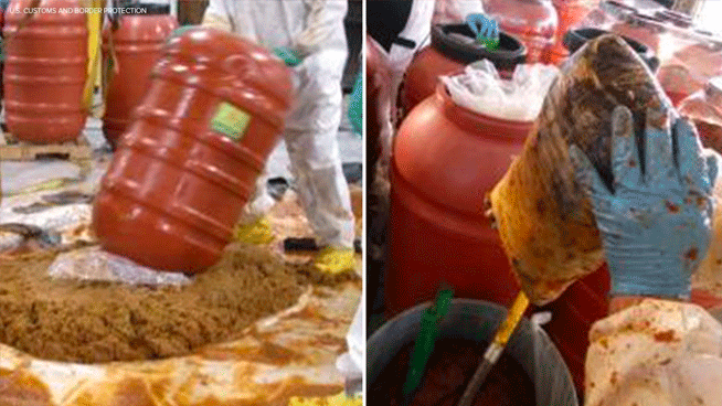 $10M Worth Of Illegal Drugs Hidden In Vats Of Jalapeño Paste