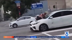 Woman Clings to Car After Her French bulldog Stolen in Downtown Los Angeles